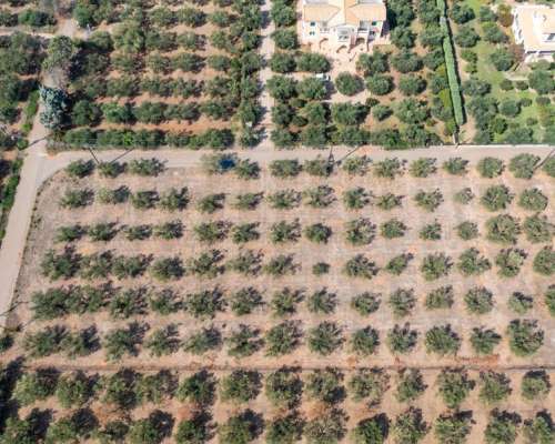 φωτογραφία ακινήτου