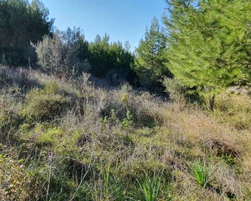 φωτογραφία ακινήτου