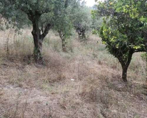 φωτογραφία ακινήτου