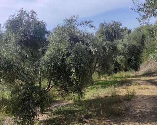 φωτογραφία ακινήτου