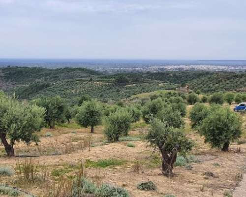 φωτογραφία ακινήτου