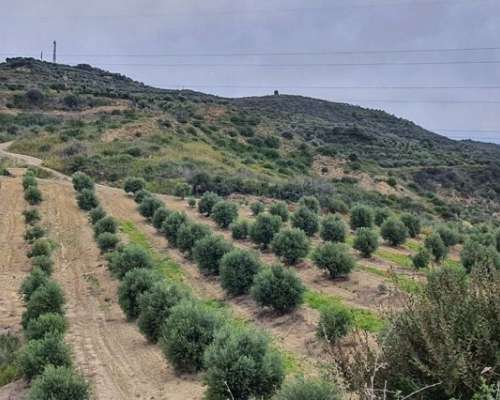 φωτογραφία ακινήτου