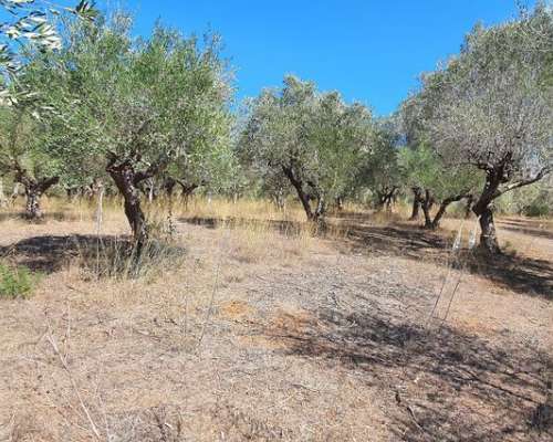 φωτογραφία ακινήτου