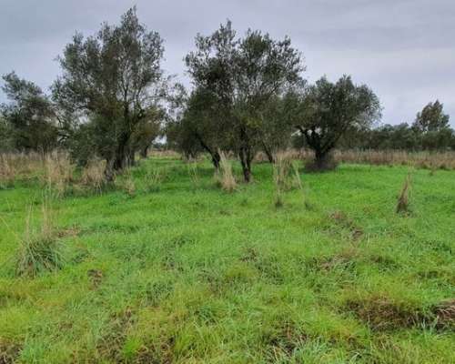 φωτογραφία ακινήτου