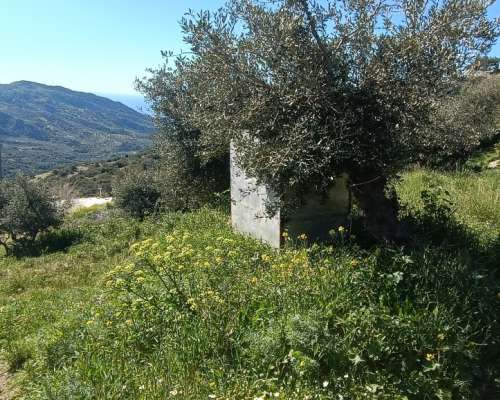 φωτογραφία ακινήτου