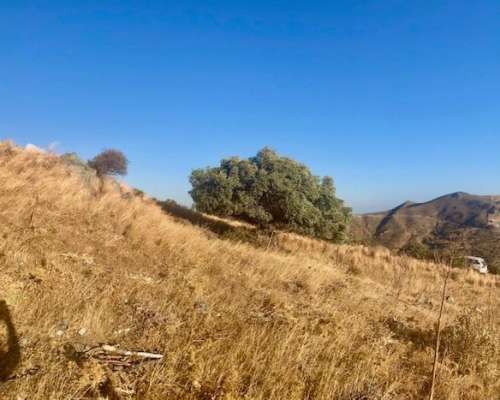 φωτογραφία ακινήτου