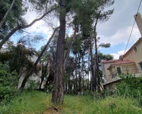 εικόνα ακινήτου