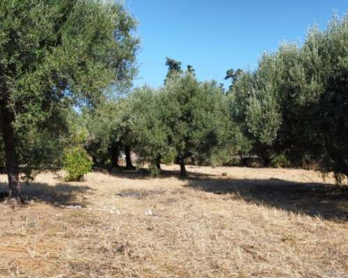 φωτογραφία ακινήτου