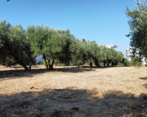 φωτογραφία ακινήτου