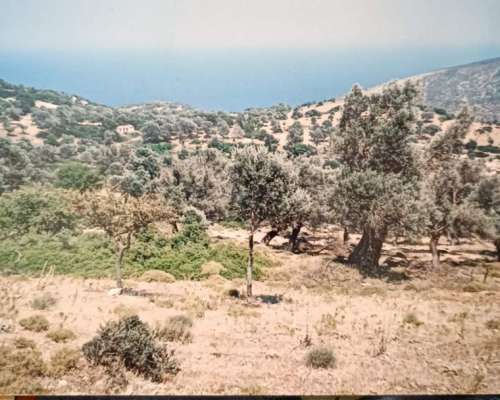 φωτογραφία ακινήτου