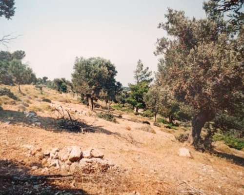 φωτογραφία ακινήτου