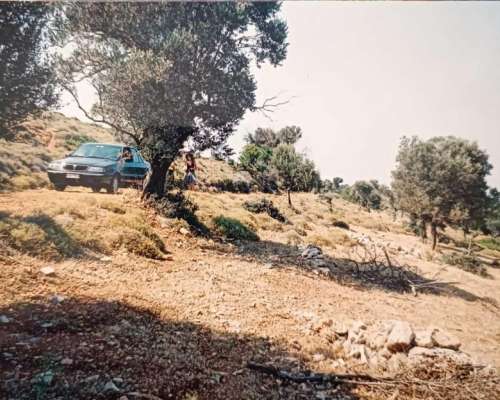 φωτογραφία ακινήτου