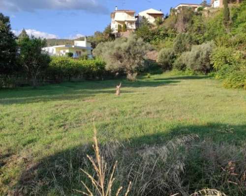 εικόνα ακινήτου