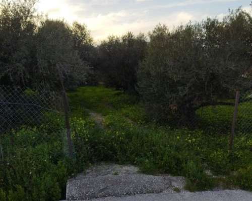 εικόνα ακινήτου
