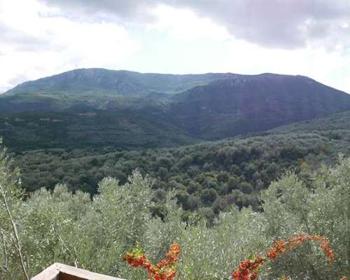 φωτογραφία ακινήτου
