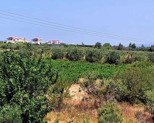 φωτογραφία ακινήτου