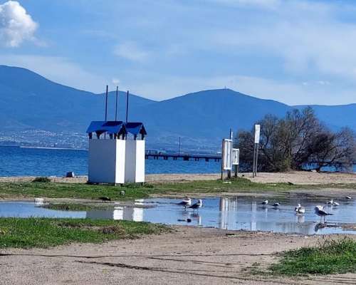 φωτογραφία ακινήτου