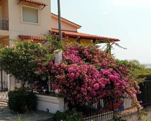 φωτογραφία ακινήτου