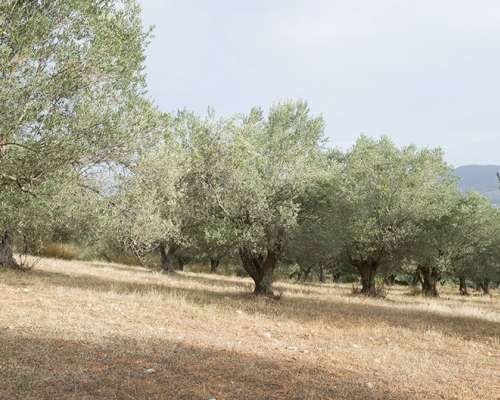 φωτογραφία ακινήτου