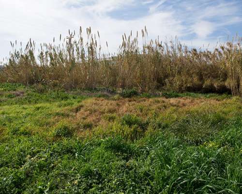 φωτογραφία ακινήτου