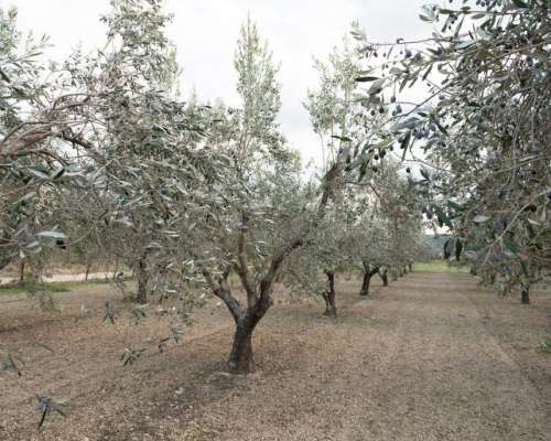 φωτογραφία ακινήτου