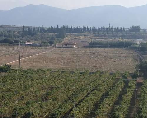 φωτογραφία ακινήτου