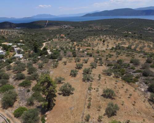 εικόνα ακινήτου