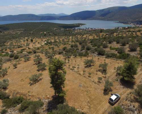 φωτογραφία ακινήτου