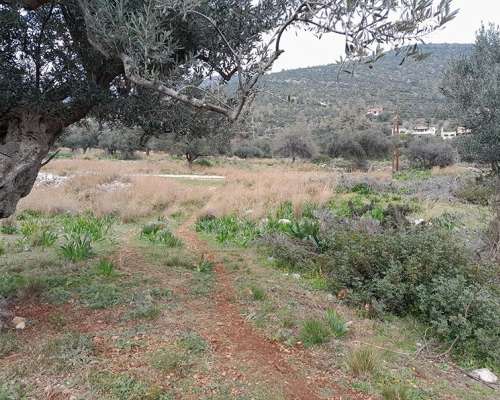 εικόνα ακινήτου
