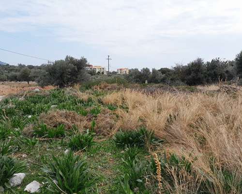 φωτογραφία ακινήτου