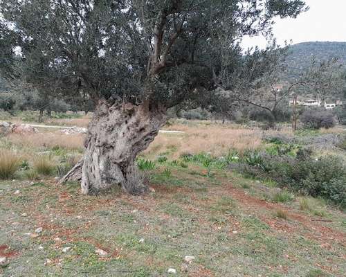 φωτογραφία ακινήτου