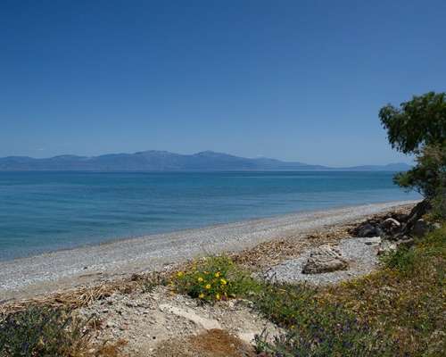 εικόνα ακινήτου