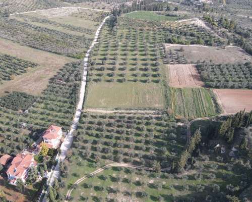 φωτογραφία ακινήτου