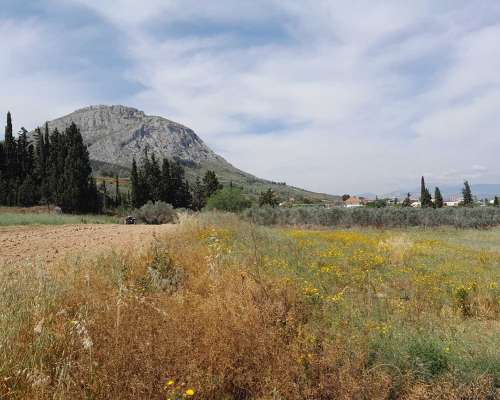 φωτογραφία ακινήτου