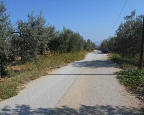 φωτογραφία ακινήτου