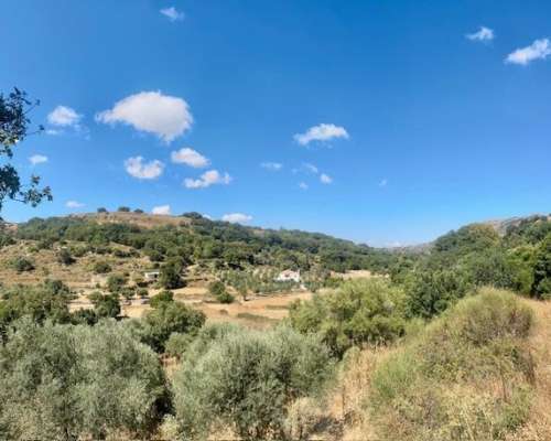 φωτογραφία ακινήτου