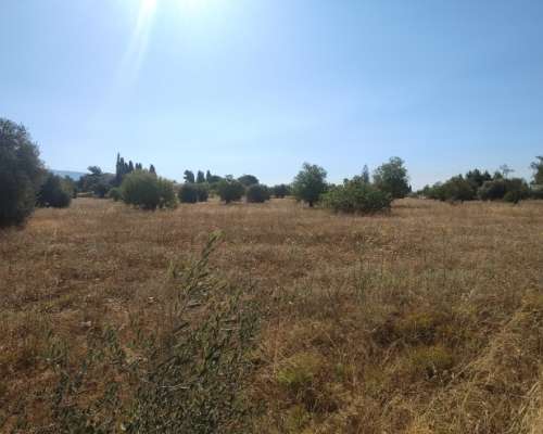 φωτογραφία ακινήτου