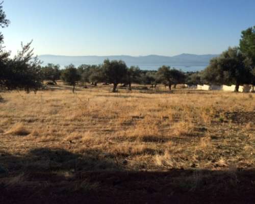 εικόνα ακινήτου