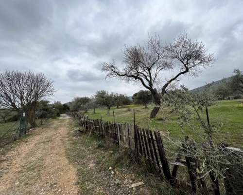φωτογραφία ακινήτου