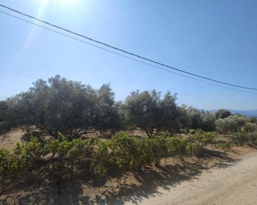 φωτογραφία ακινήτου