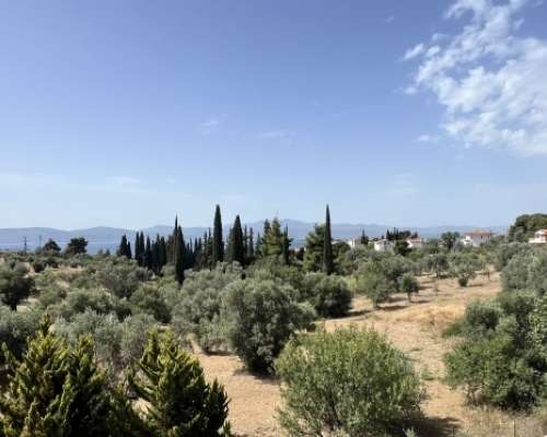 φωτογραφία ακινήτου