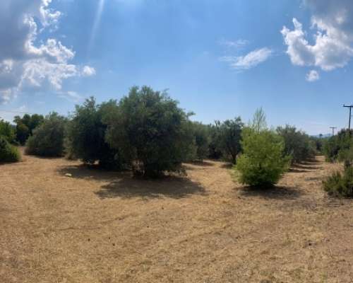 φωτογραφία ακινήτου