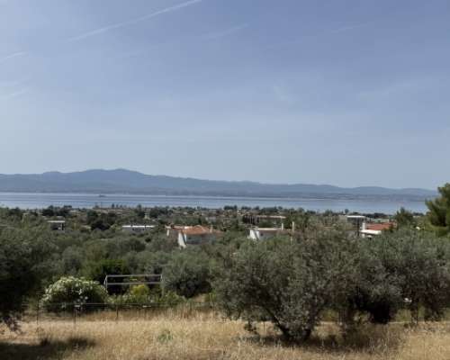 φωτογραφία ακινήτου