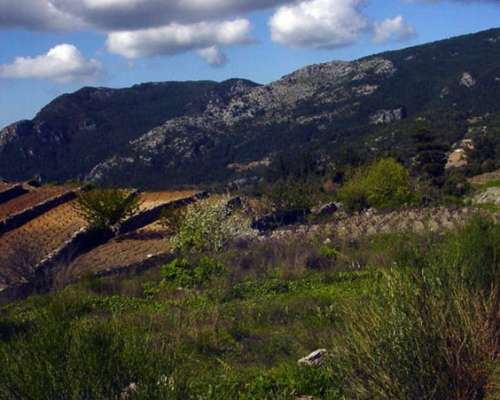 φωτογραφία ακινήτου