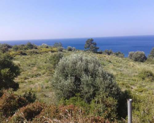 φωτογραφία ακινήτου