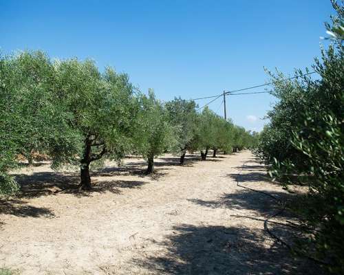εικόνα ακινήτου