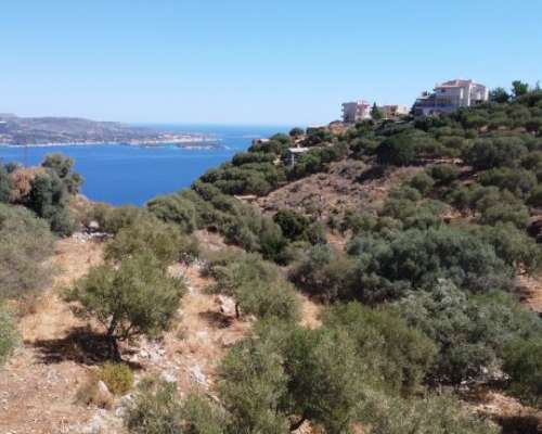 φωτογραφία ακινήτου