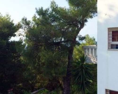 εικόνα ακινήτου