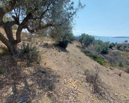 φωτογραφία ακινήτου