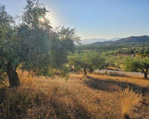 φωτογραφία ακινήτου